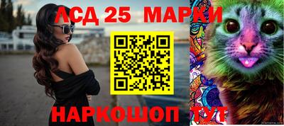 прущие грибы Сланцы