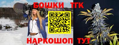 прущие грибы Сланцы