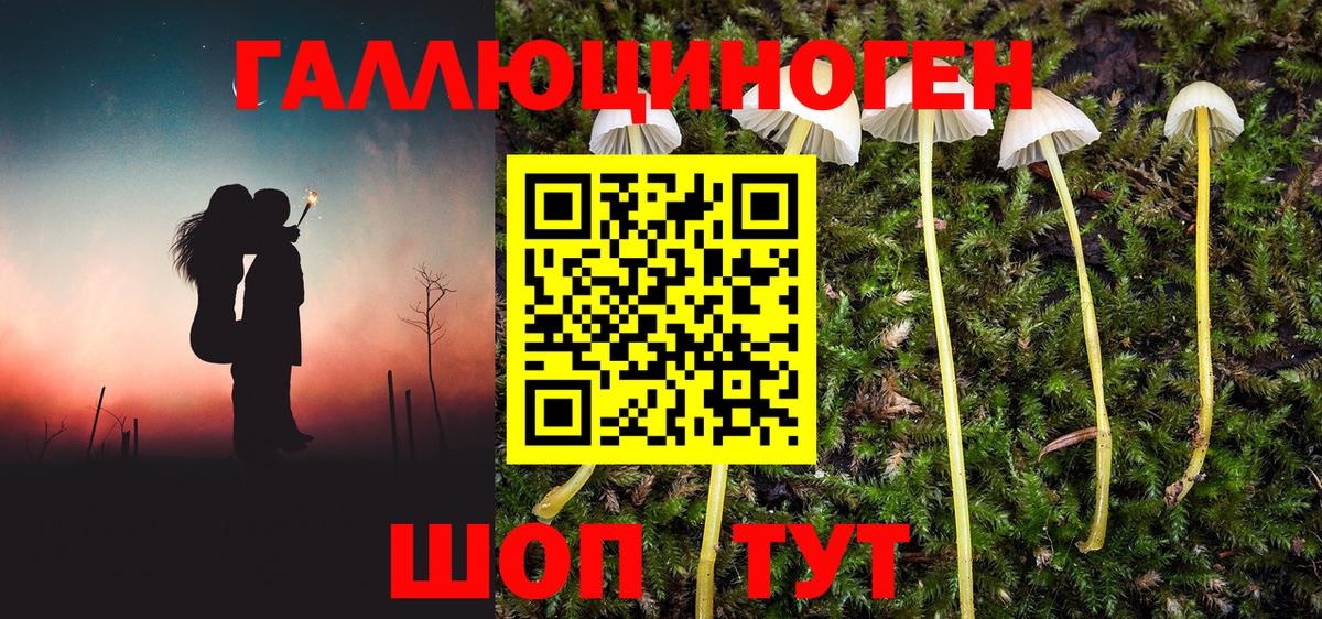 Галлюциногенные грибы ЛСД Артёмовский